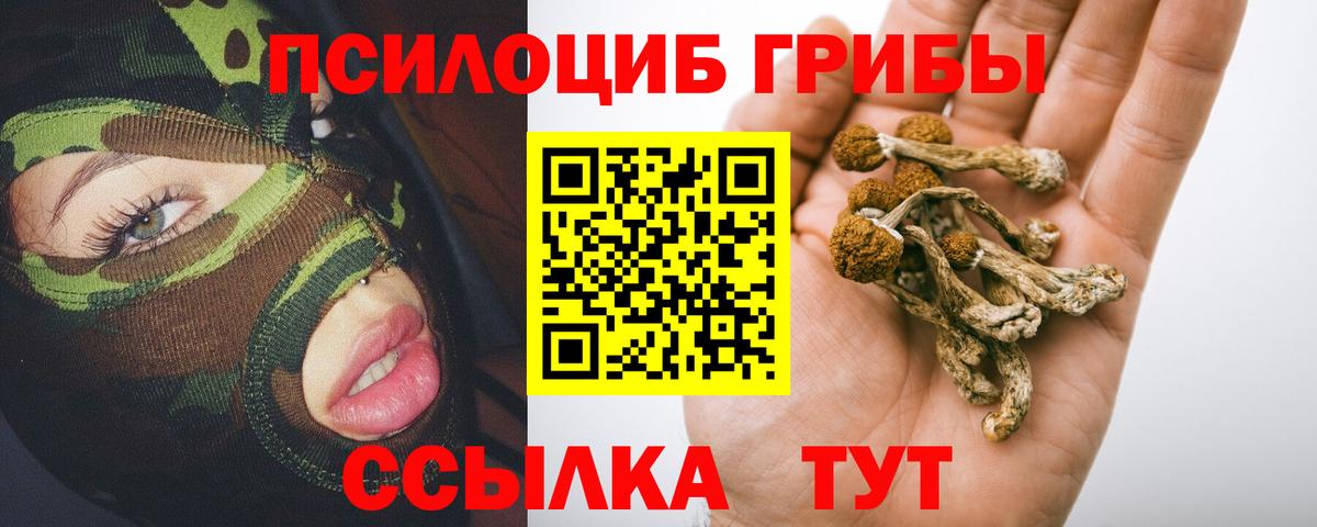 купить  сайты  Вход с VPN  Усть-Джегута  Галлюциногенные грибы MAGIC MUSHROOMS 
